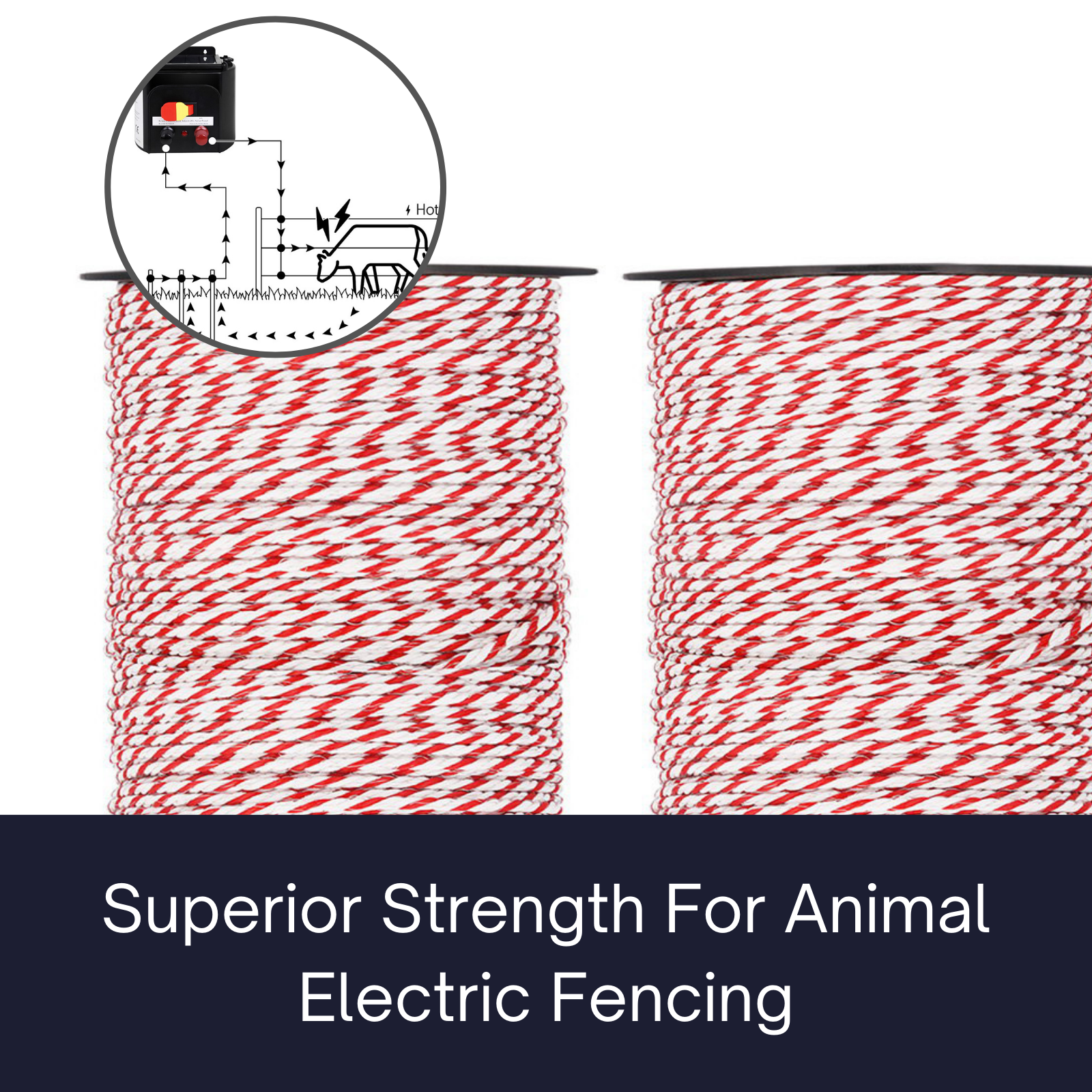 Fence Wire